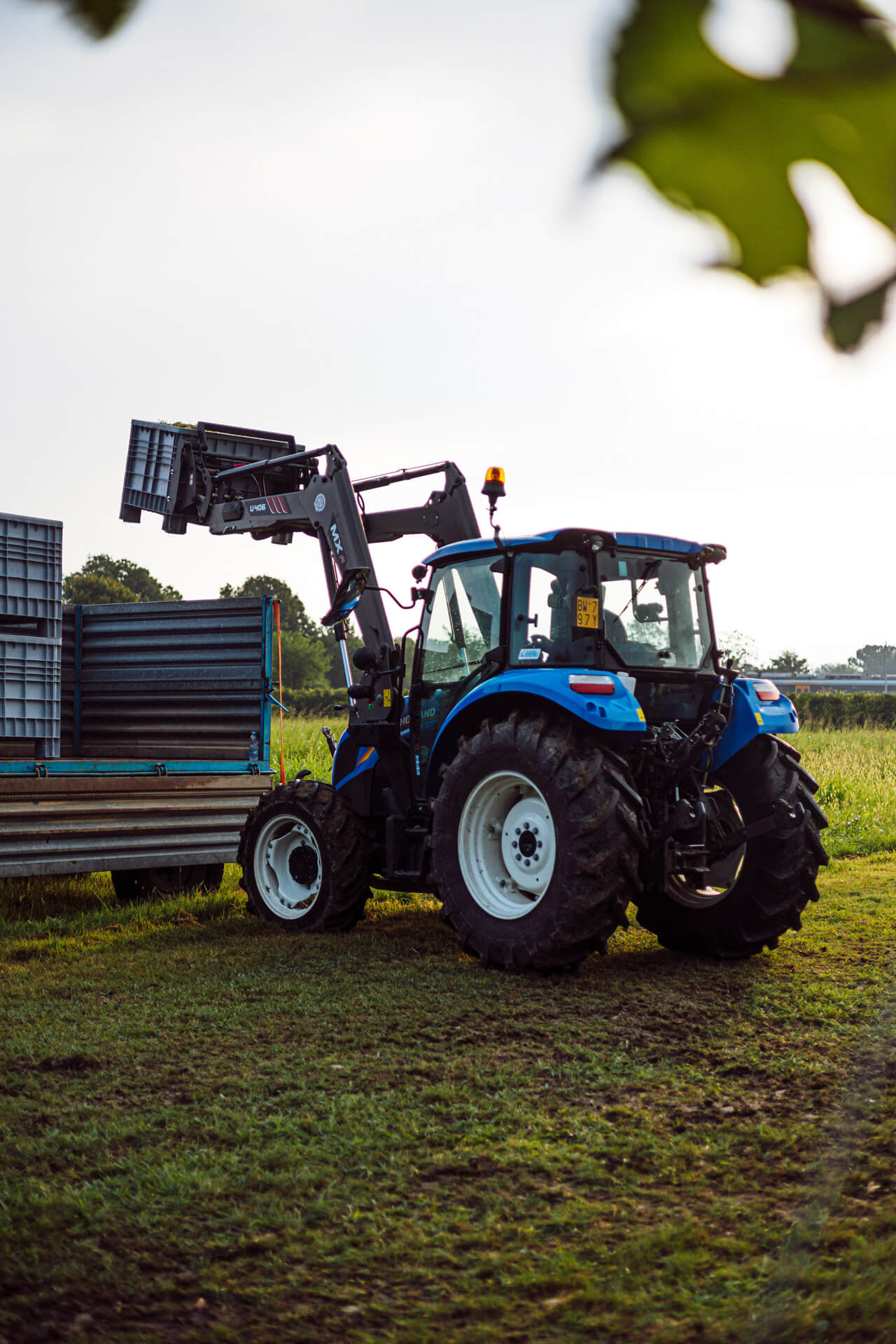 Magrine Wine Castelfranco Veneto